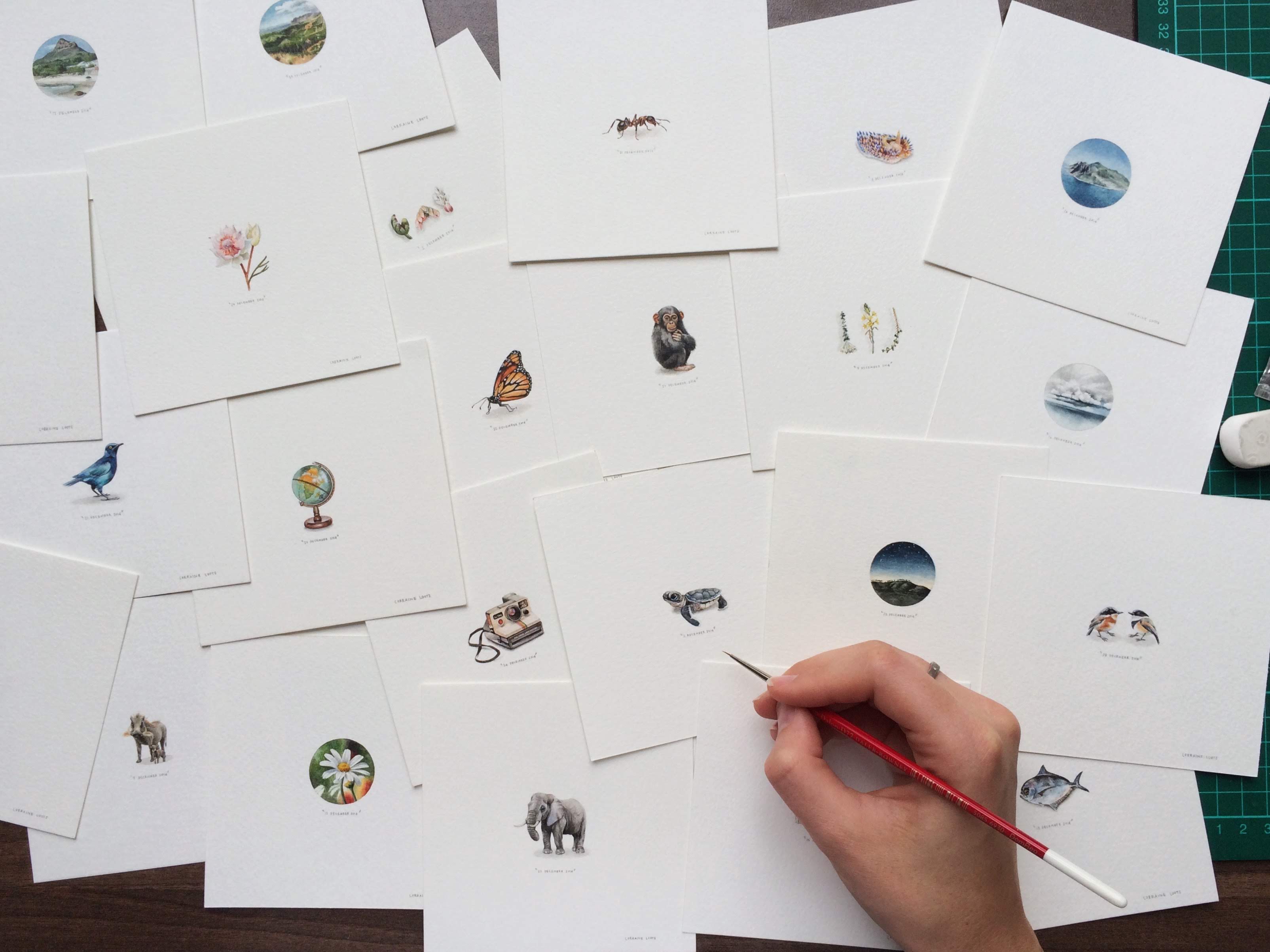 365 Postcards For Ants 2014