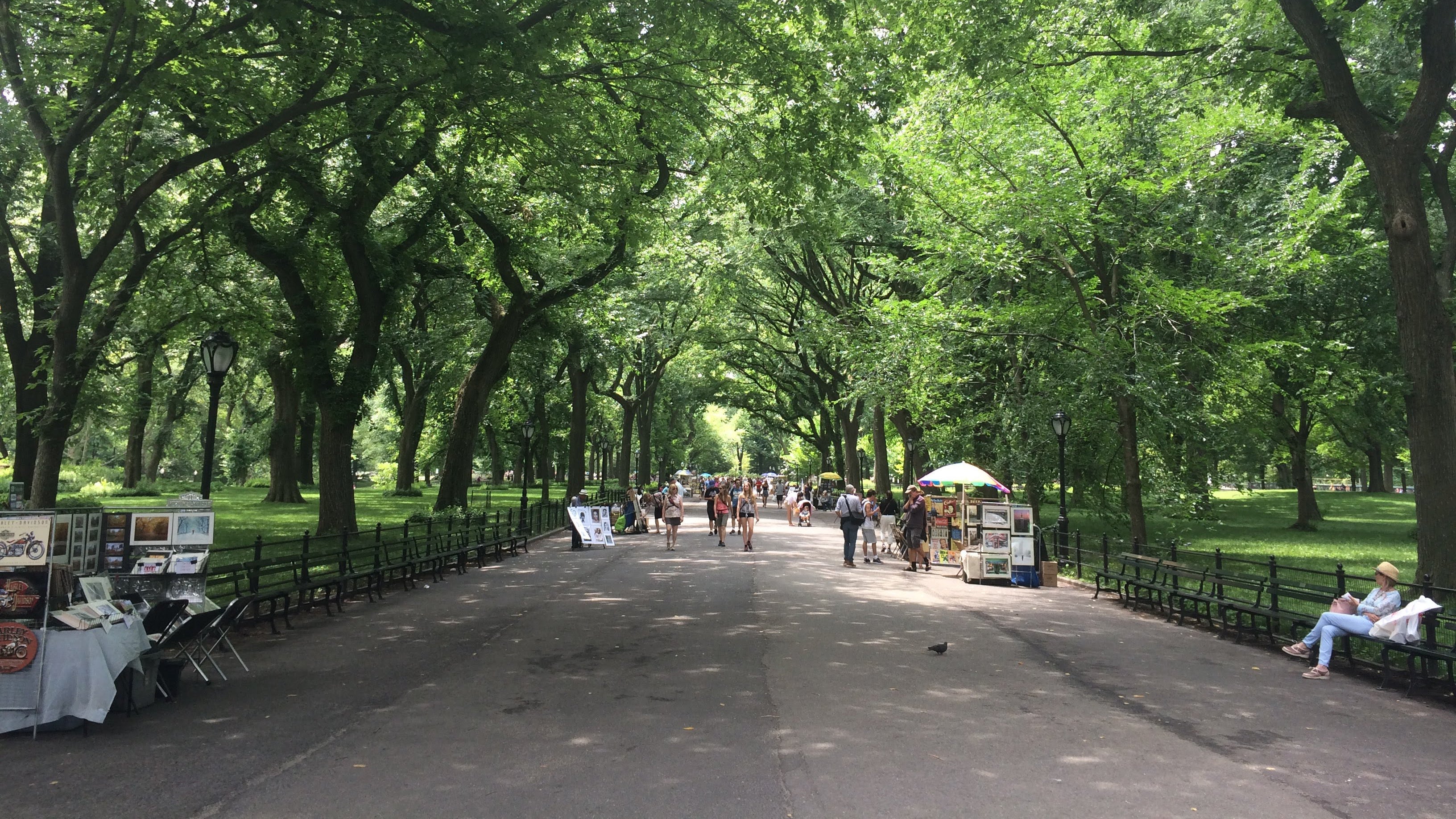 The New York Collection