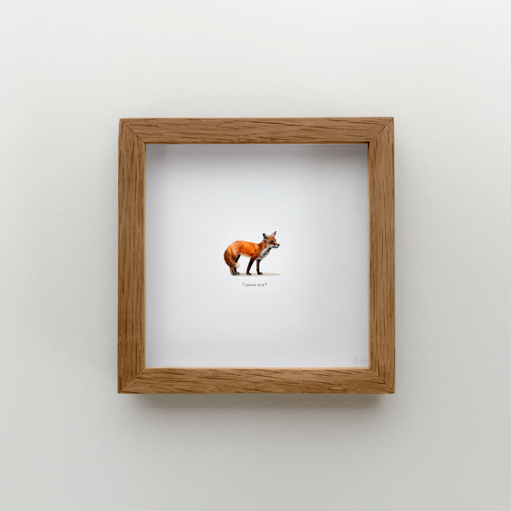 Fox