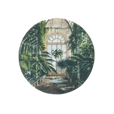 The Palm House