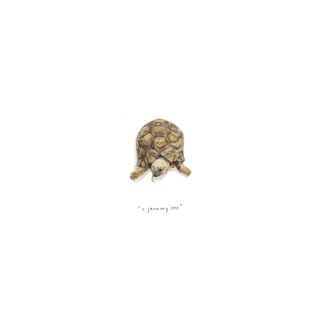2 January 13