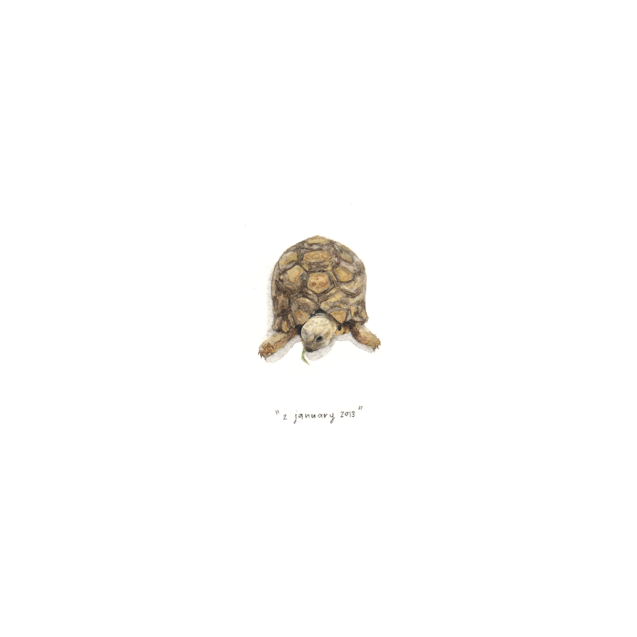 2 January 13