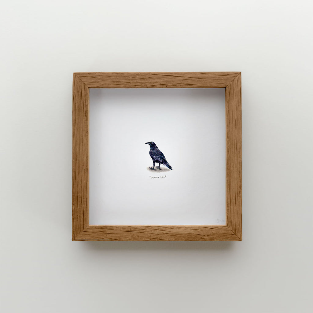Raven