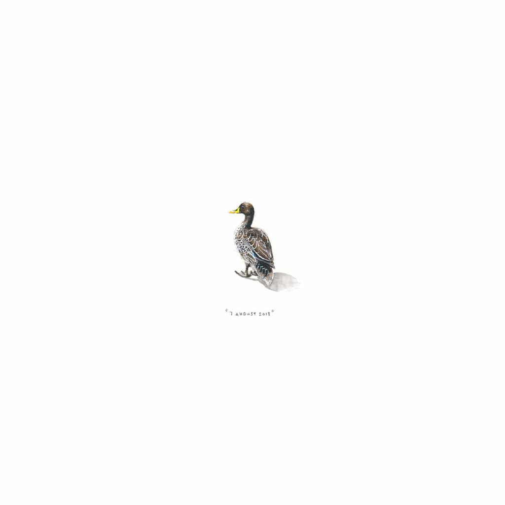 7 August 2013