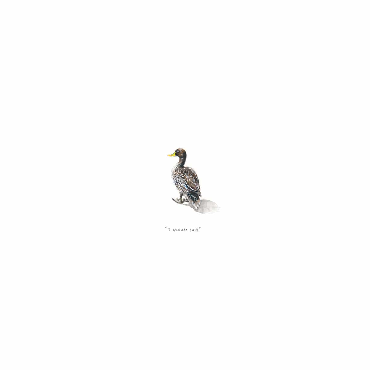 7 August 2013