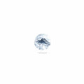 6 September 2013