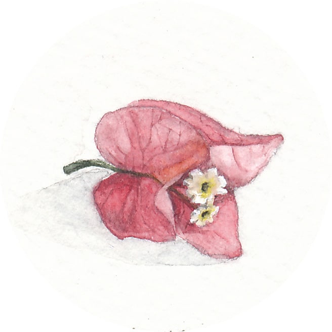 28 January 2013