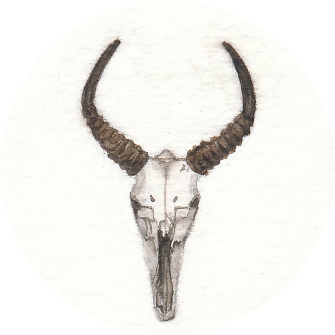 6 February 2013