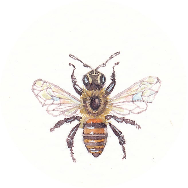 18 February 2013