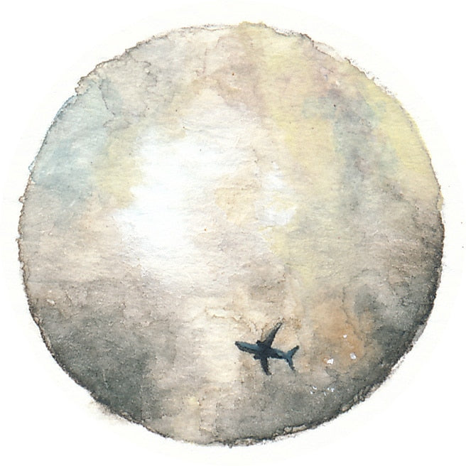 19 February 2013