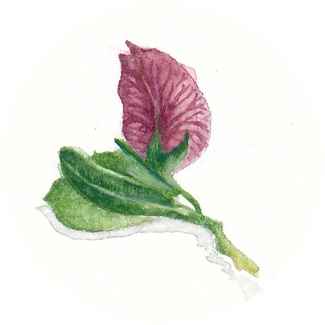 7 March 2013
