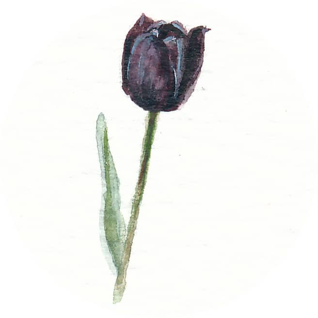 19 March 2013