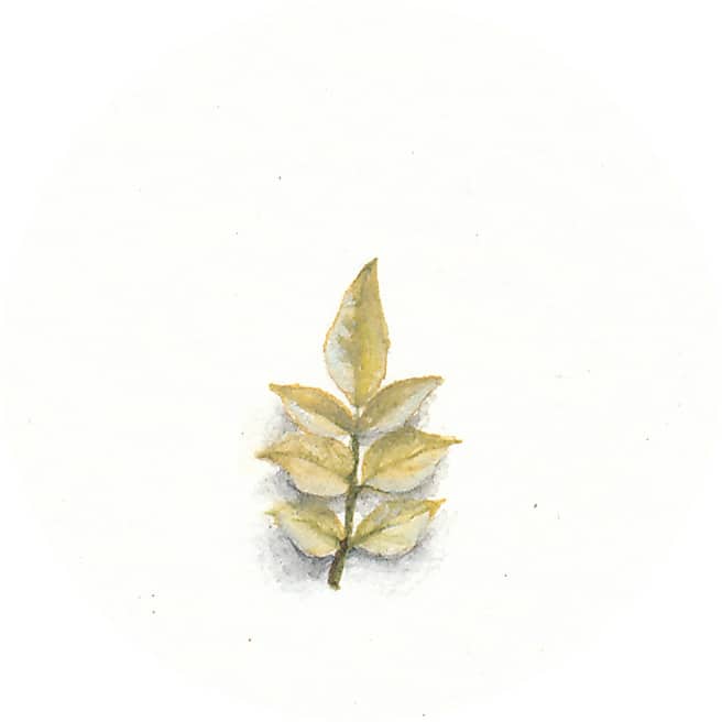 29 March 2013