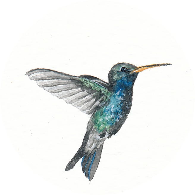3 May 2013