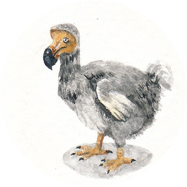 18 May 2013
