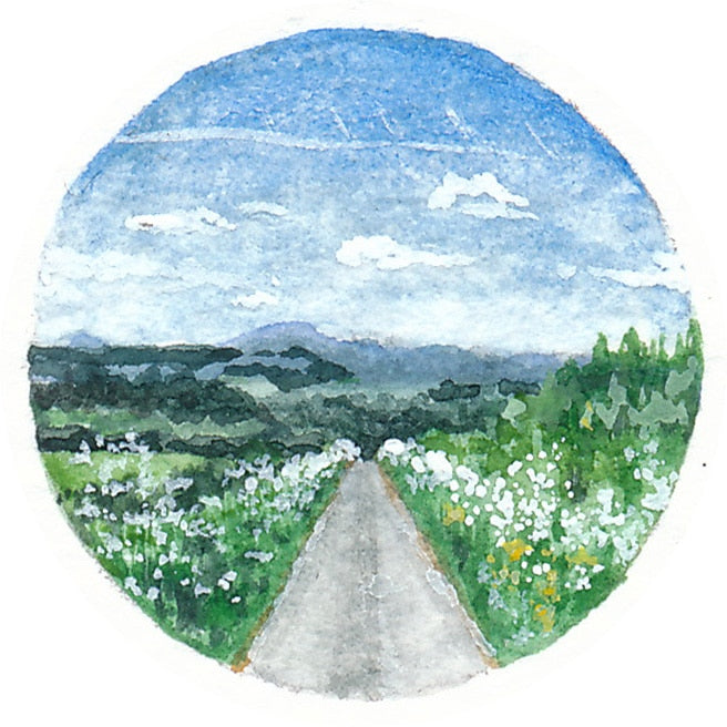 5 June 2013