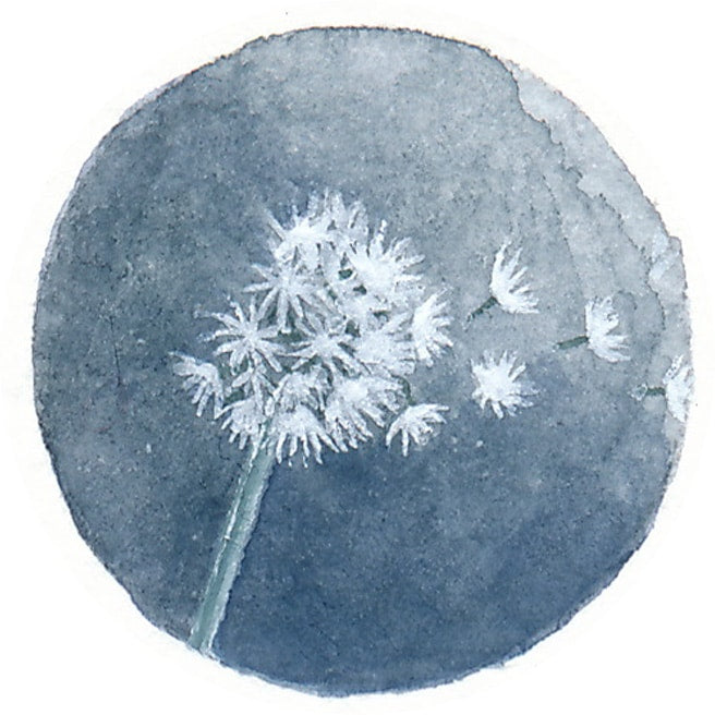 10 June 2013