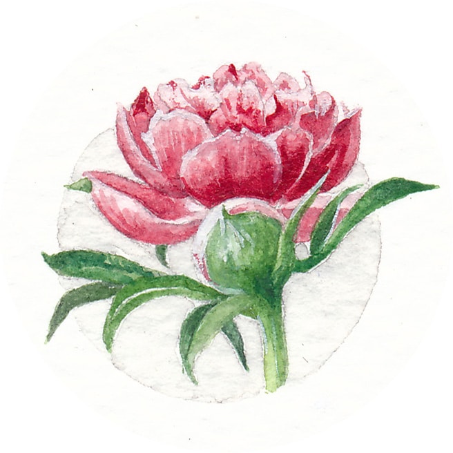 15 June 2013