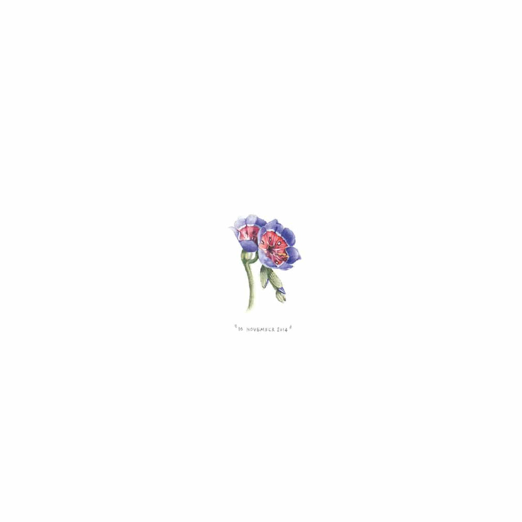 10 November 2014