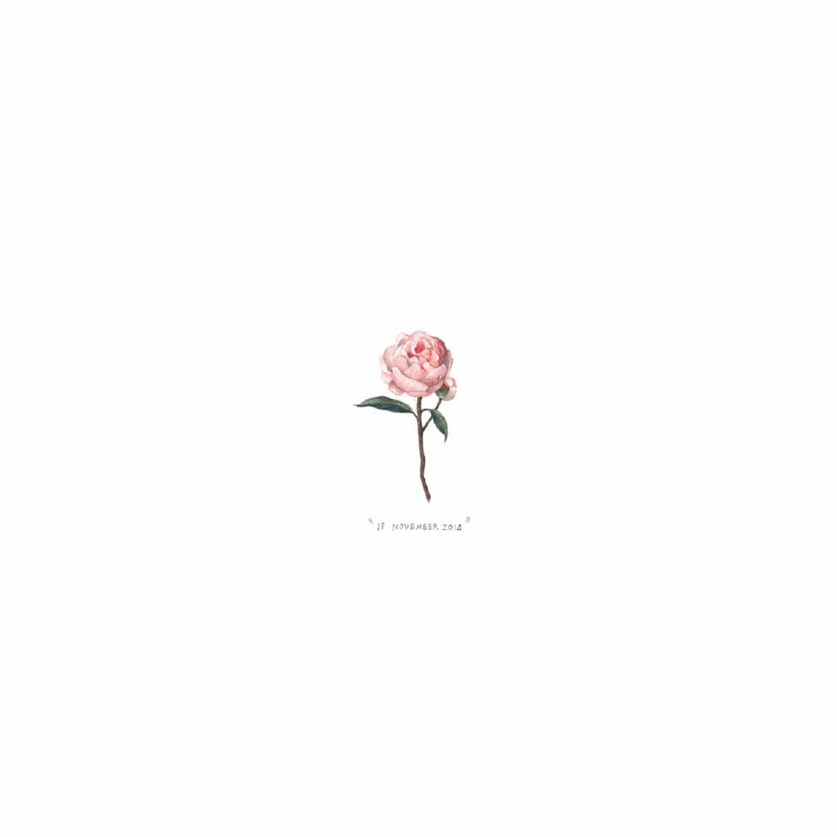 13 November 2014