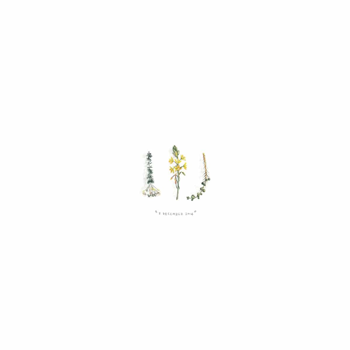 8 December 2014