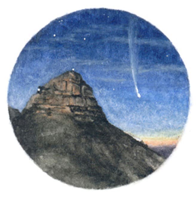25 January 2014