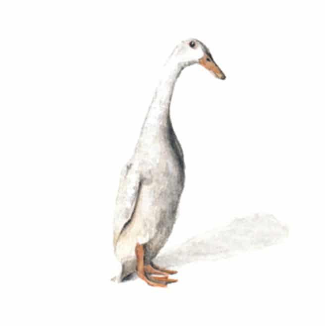 5 February 2014
