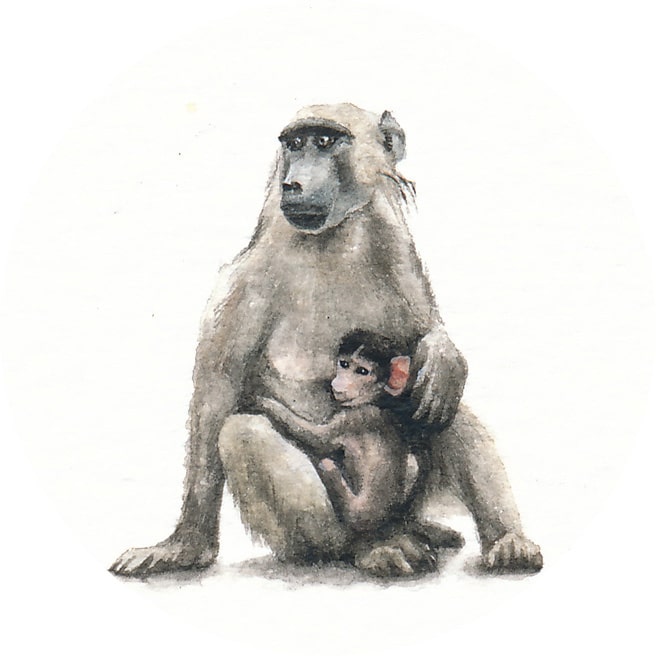 10 June 2014
