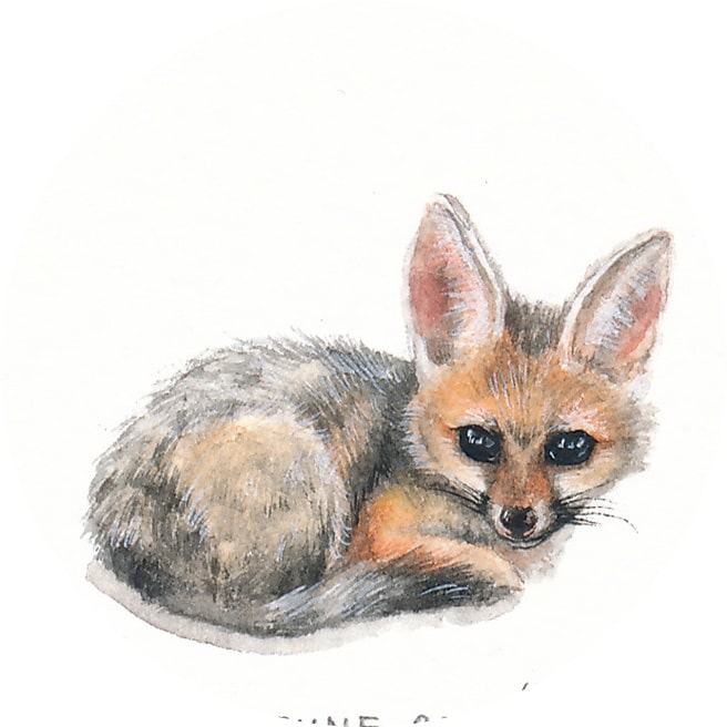 13 June 2014