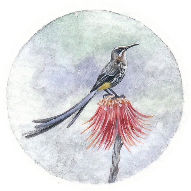 16 June 2014
