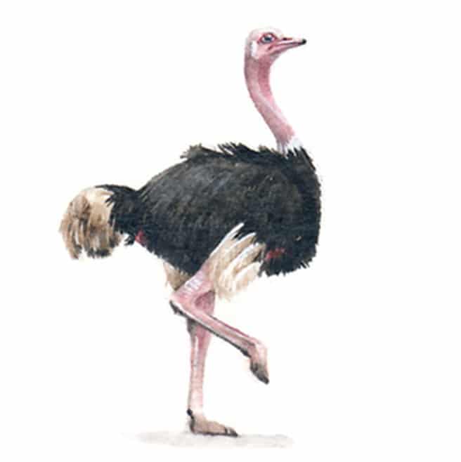 22 October 2014