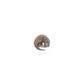 Pangolin