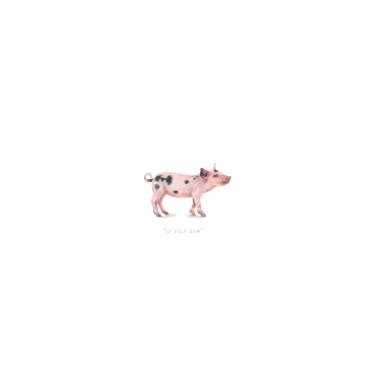 Piglet