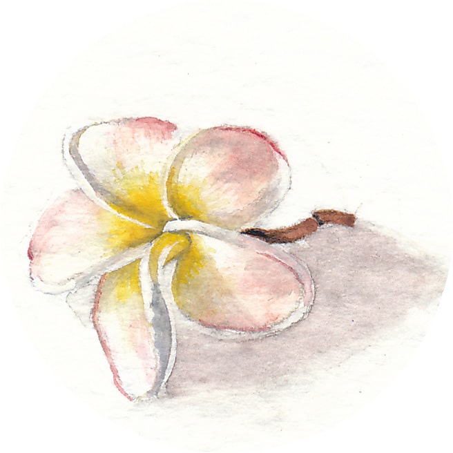 24 February 2013