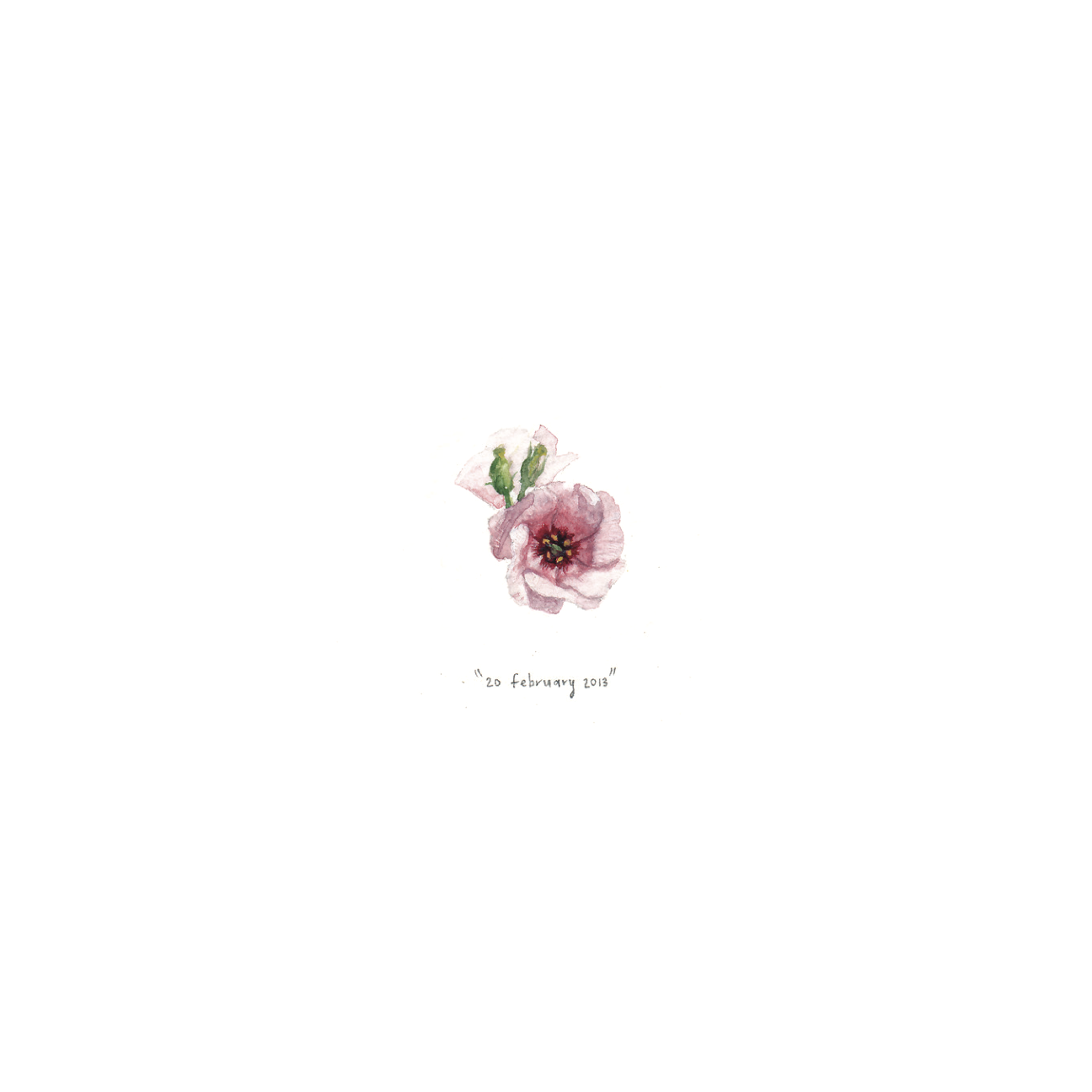 20 February 2013