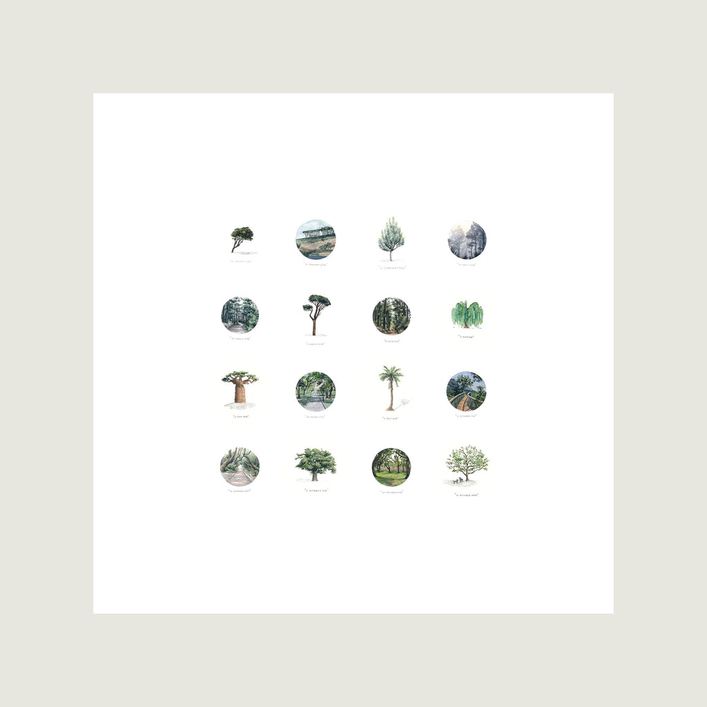The Tree Collection