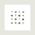 The Tree Collection