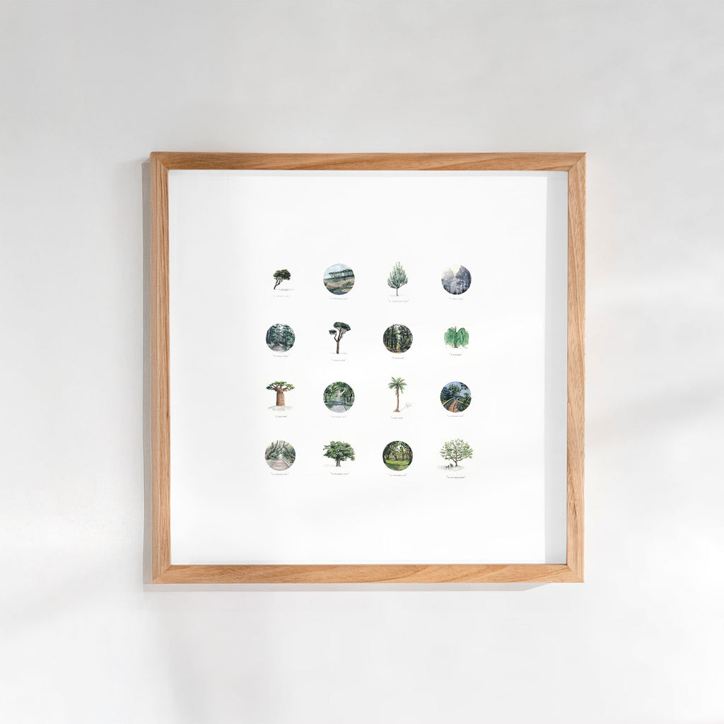 The Tree Collection