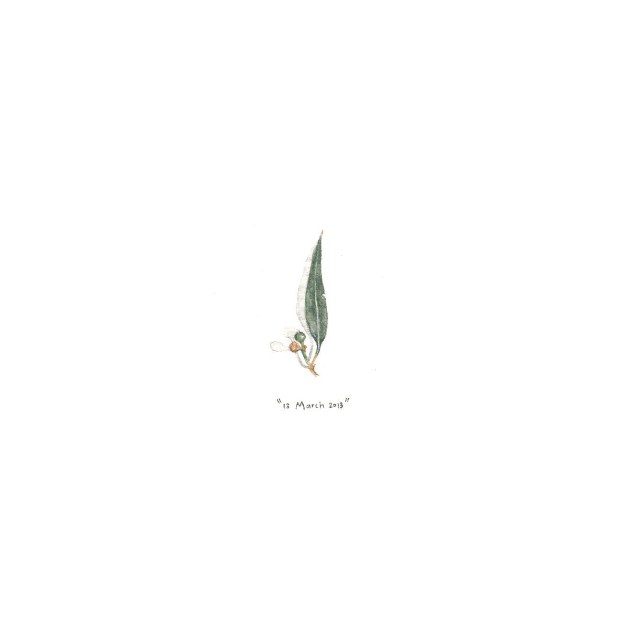 13 March 2013