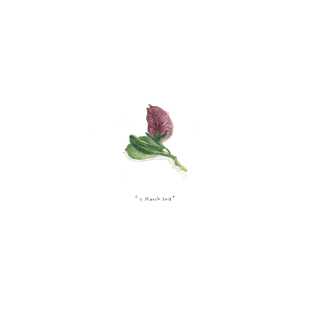 7 March 2013