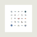 The Ocean Collection