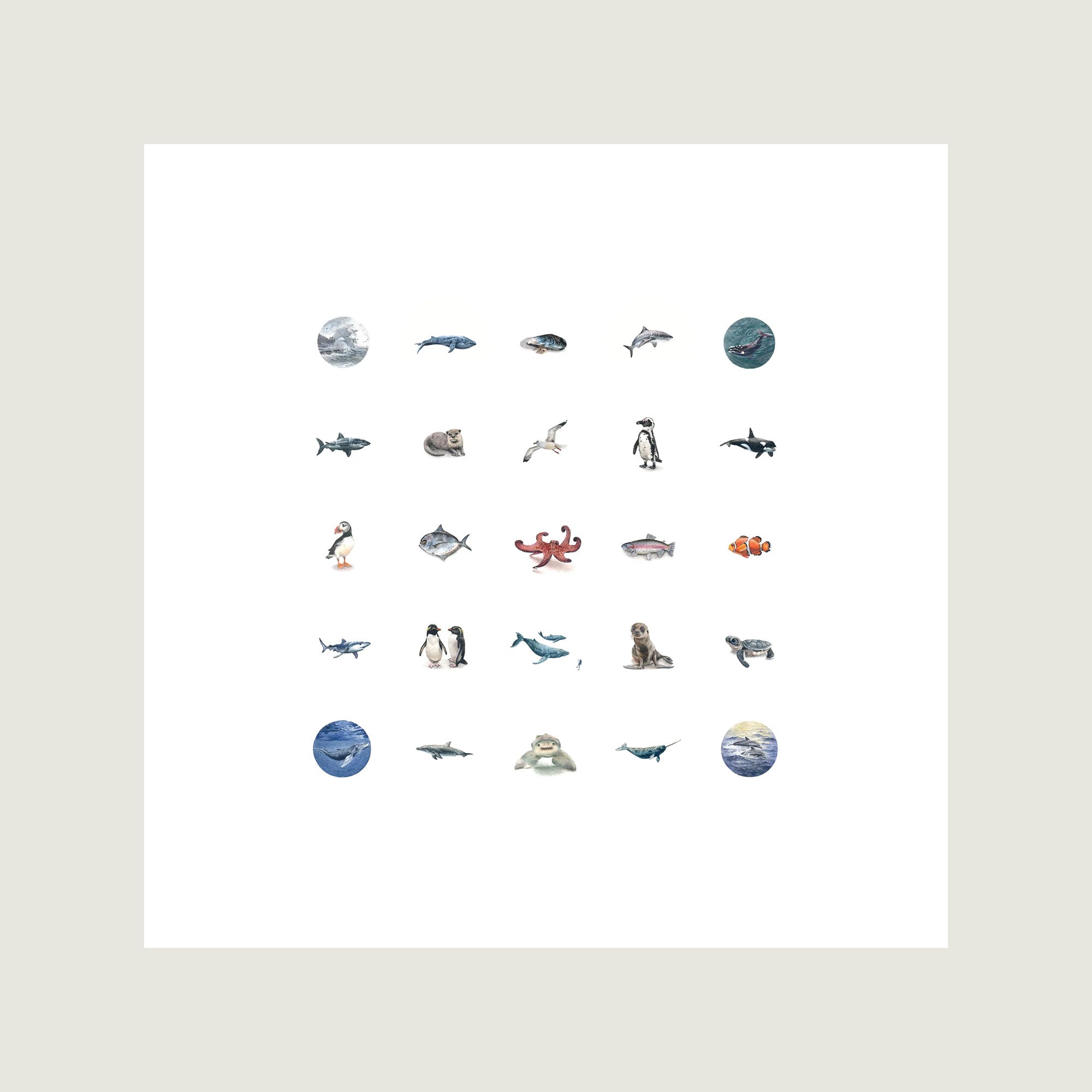 The Ocean Collection