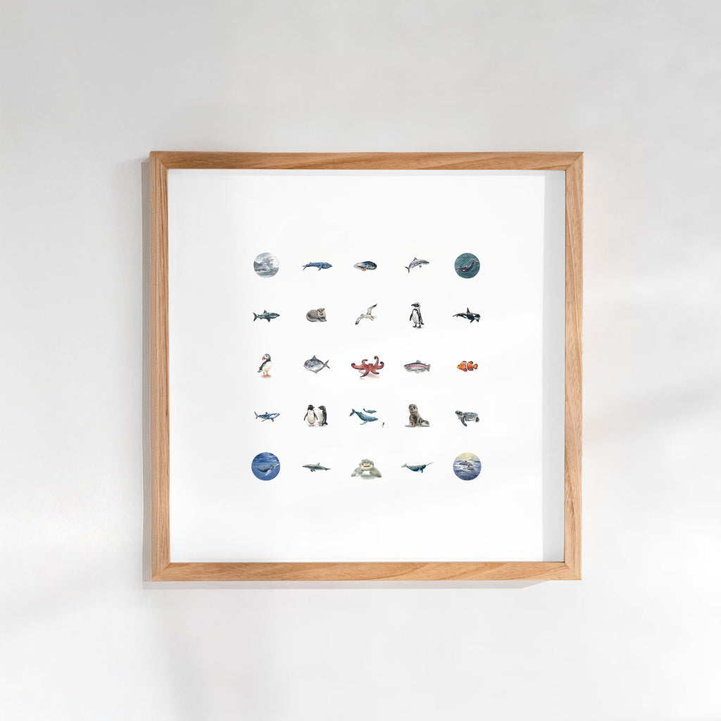 The Ocean Collection