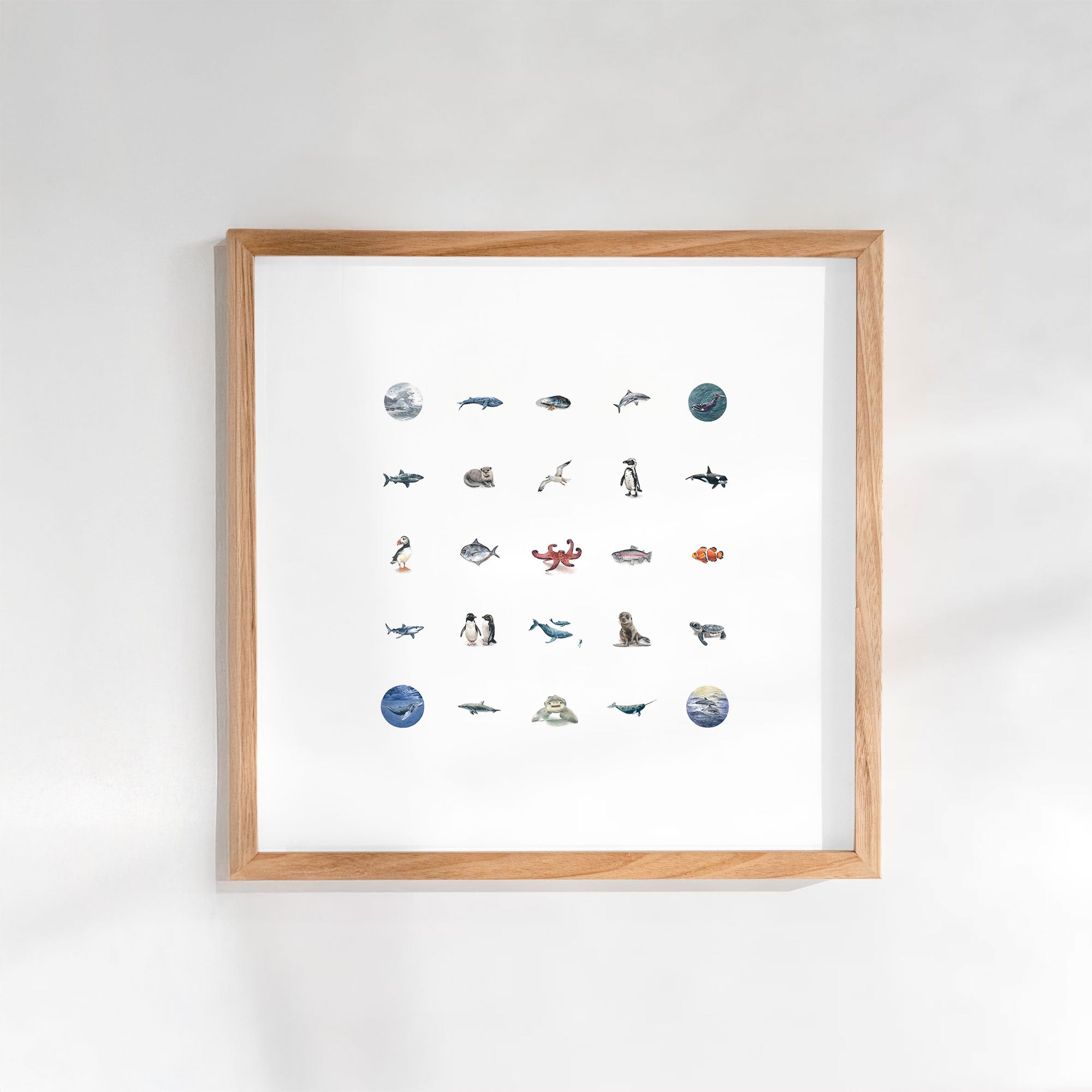The Ocean Collection