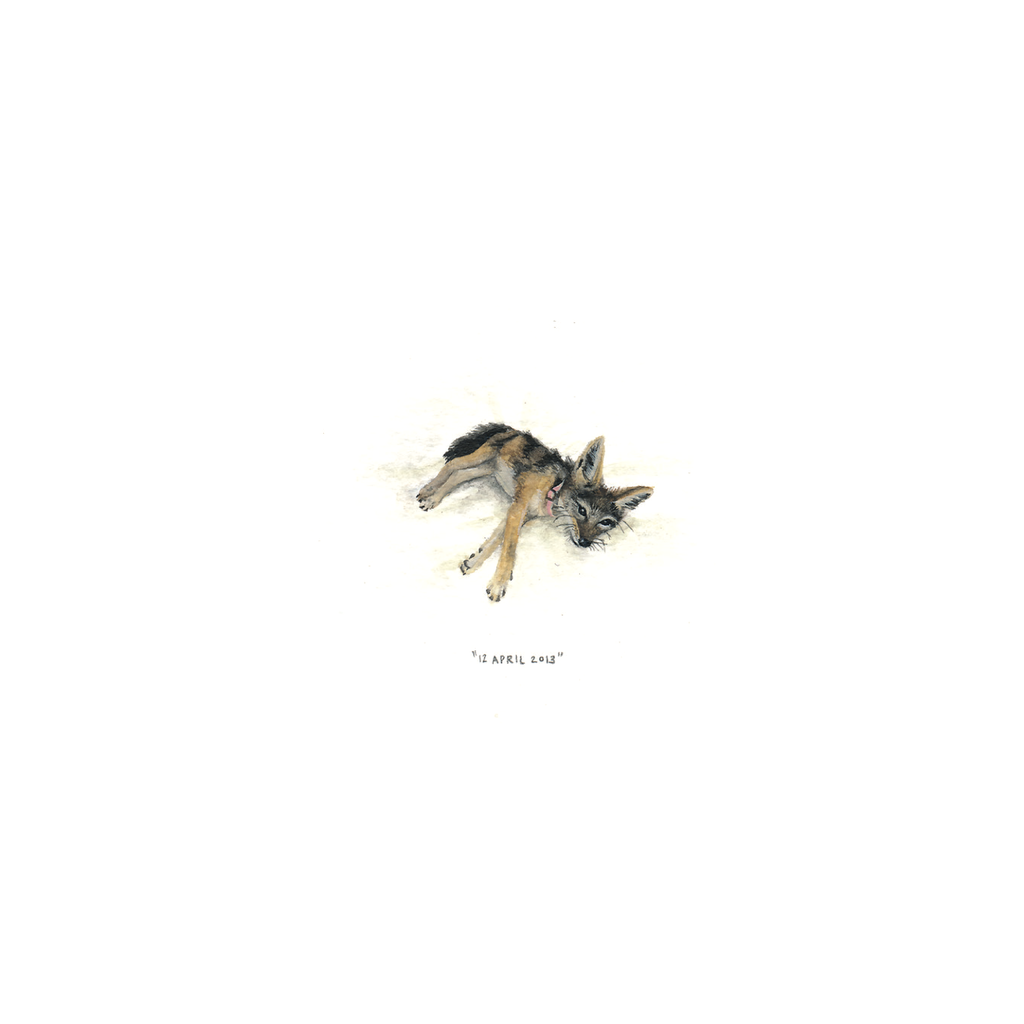 12 April 2013