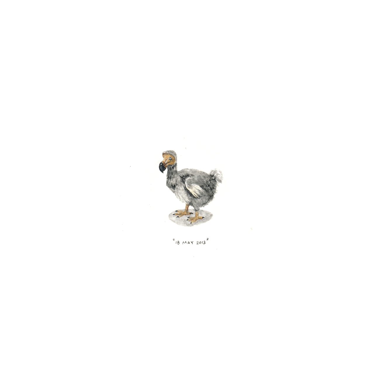 18 May 2013