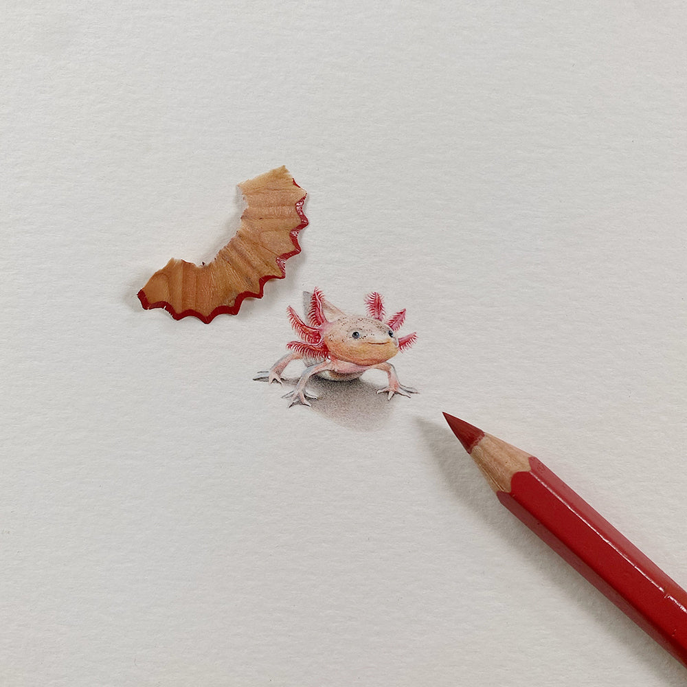 Xochimilco the Axolotl