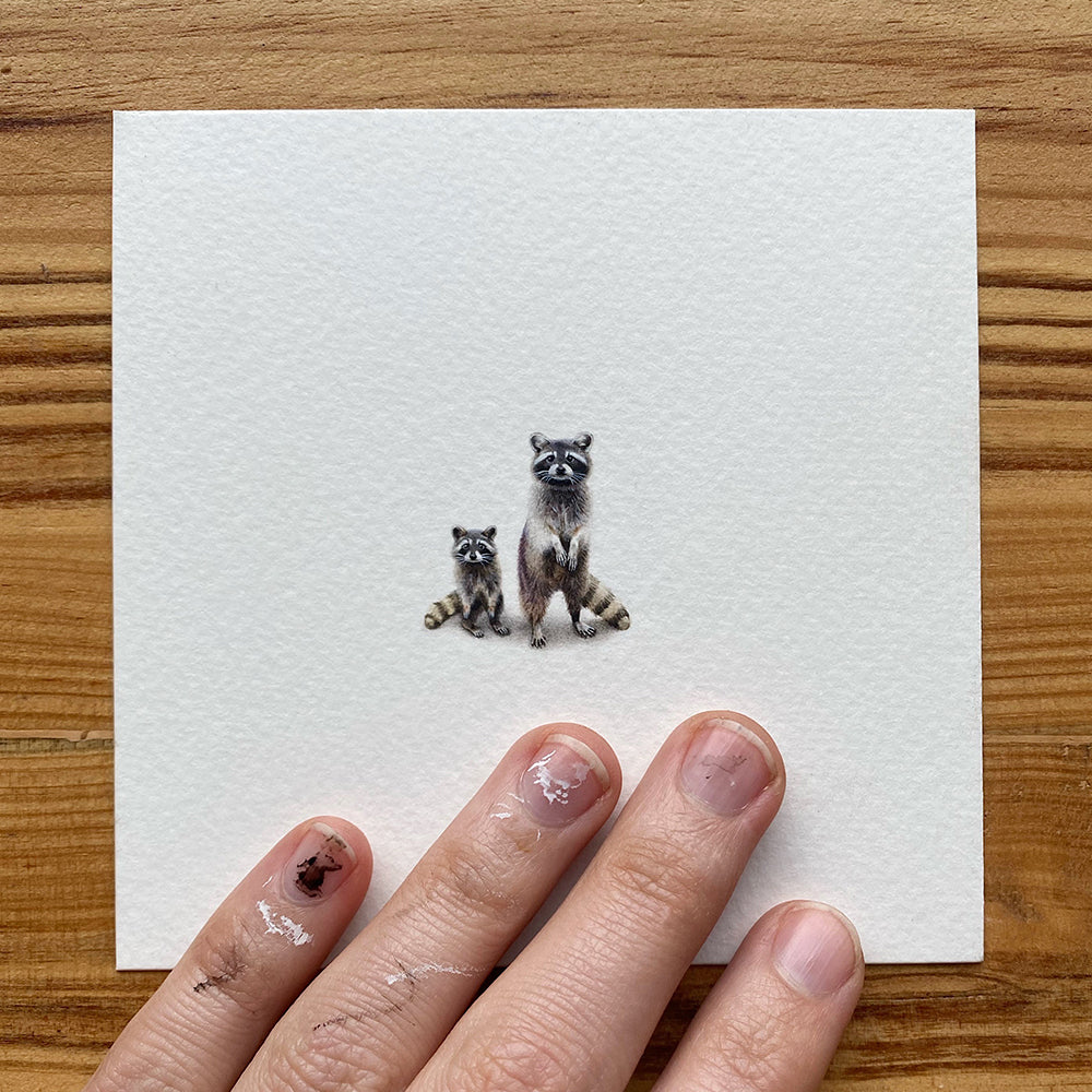 Mama + Baby Raccoon