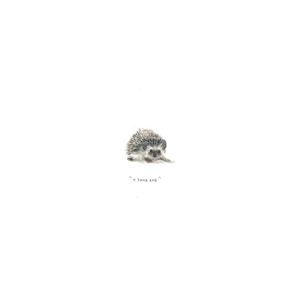 11 June 2013