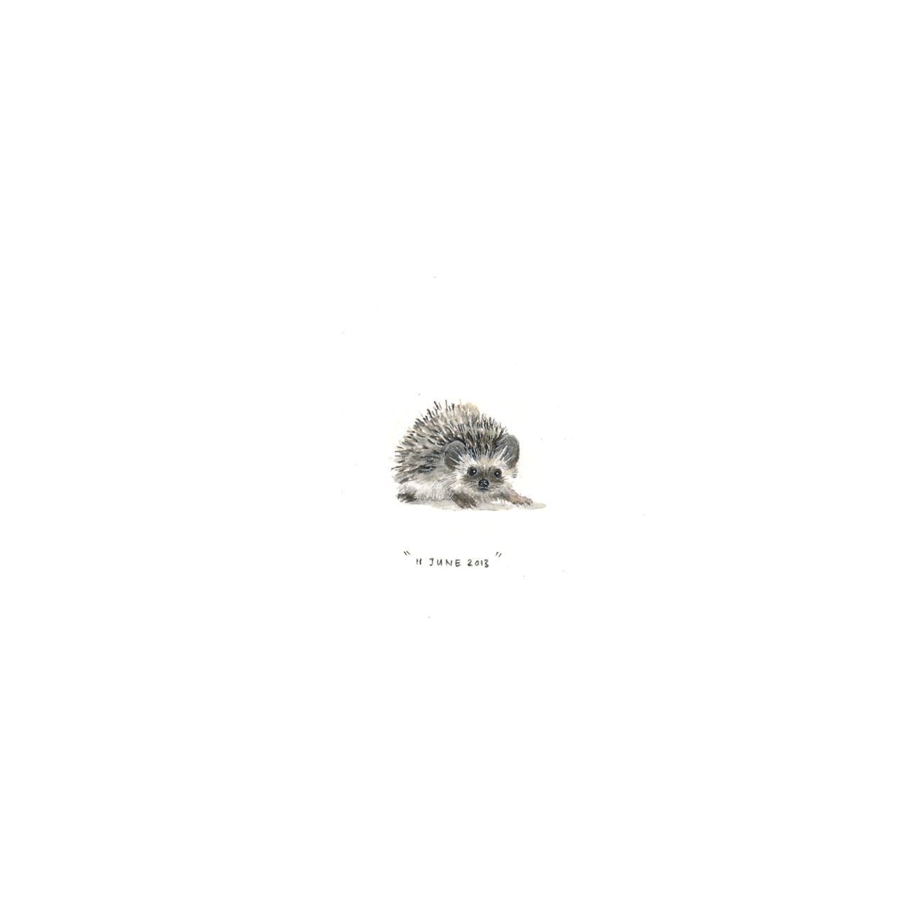 11 June 2013